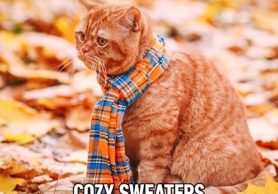 Funny-Fall-Memes-to-Perfectly-Sum-Up-Autumns-Humor_GettyImages-1011905364